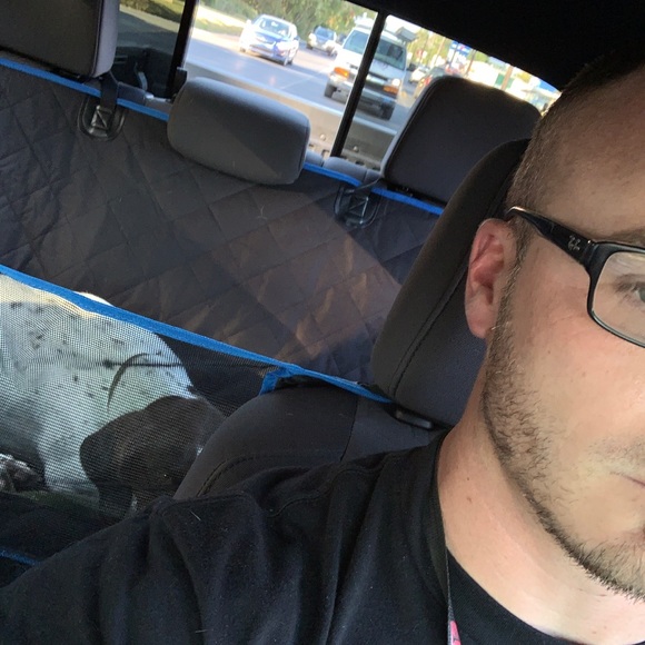 Meet your Posher, Theodore - Picture 3 of 4